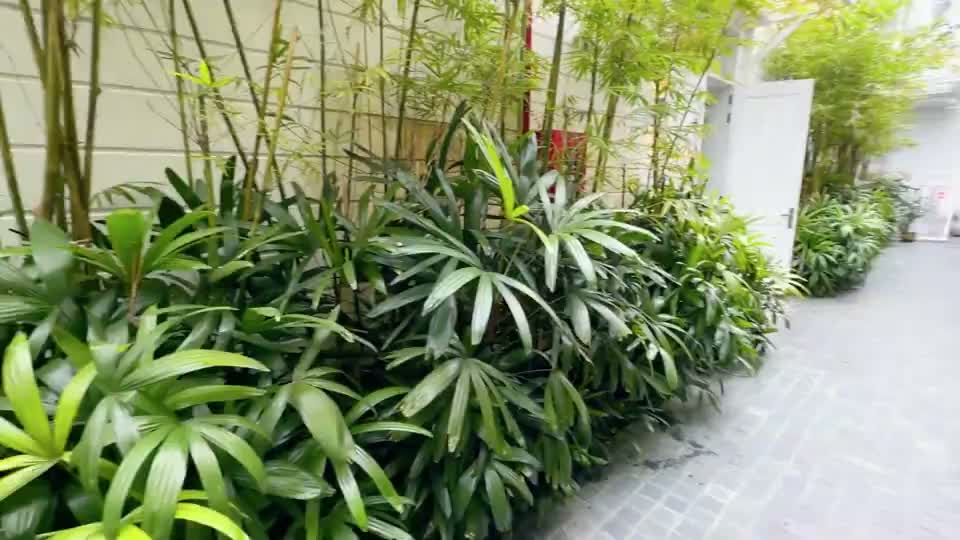 DP-024 풀빌라 영상 대표 장면